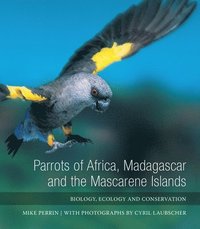 bokomslag Parrots of Africa, Madagascar and the Mascarene Islands