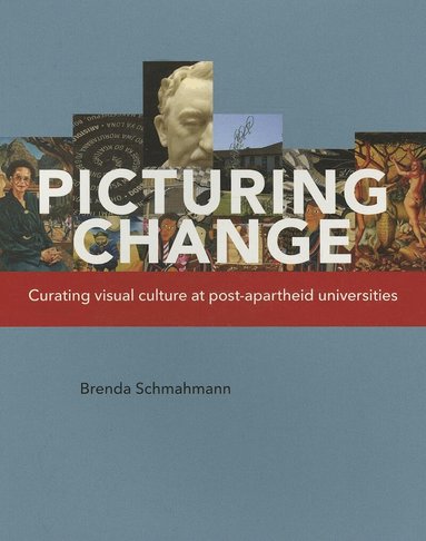 Brenda Schmahmann - Picturing Change, Häftad