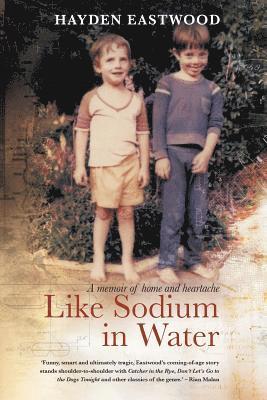 Hayden Eastwood - Like sodium in water, Häftad