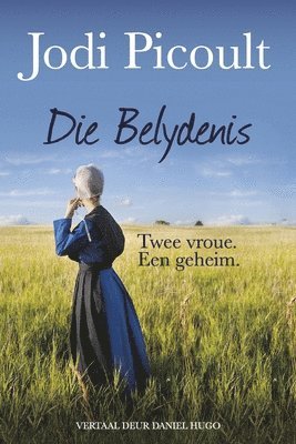 bokomslag Die Belydenis