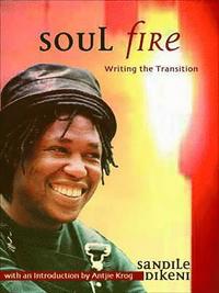 bokomslag Soul Fire