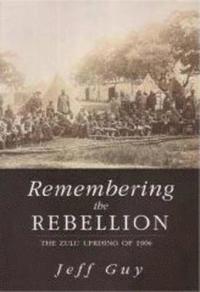bokomslag Remembering the Rebellion