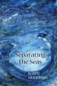 bokomslag Separating the Seas