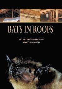 bokomslag Bats in Roofs