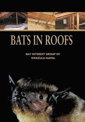 bokomslag Bats in Roofs
