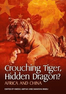 bokomslag Crouching Tiger, Hidden Dragon?