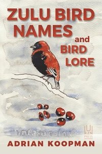 bokomslag Zulu Bird Names and Bird Lore