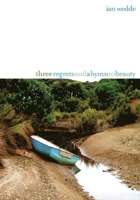 Ian Wedde - Three Regrets and a Hymn to Beauty, Häftad