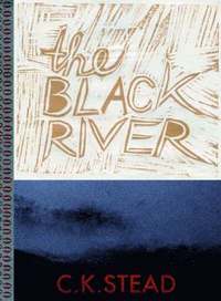bokomslag The Black River