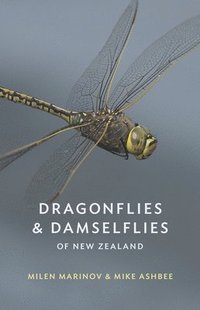 bokomslag Dragonflies and Damselflies of New Zealand