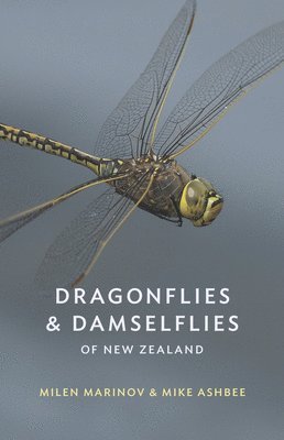 Dragonflies and Damselflies of New Zealand 1