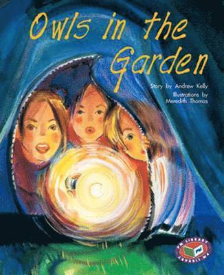 Owls in the Garden