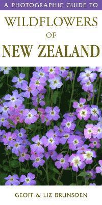 bokomslag Photographic Guide To Wildflowers Of New Zealand