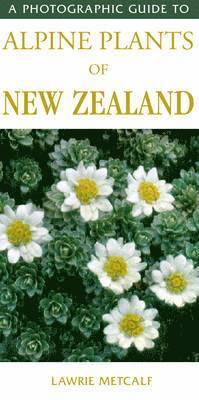 bokomslag A Photographic Guide to Alpine Plants of New Zealand