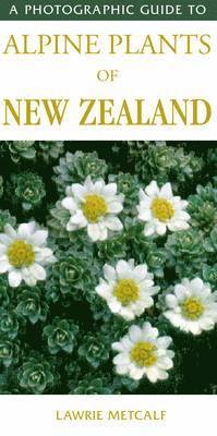 bokomslag Photographic Guide To Alpine Plants Of New Zealand