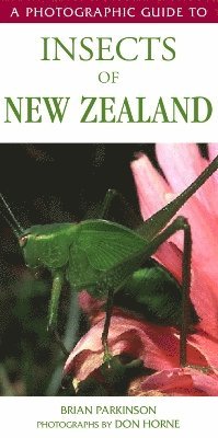 bokomslag Photographic Guide To Insects Of New Zealand