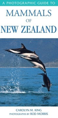 bokomslag Photographic Guide To Mammals Of New Zealand