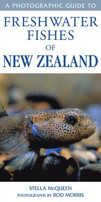 bokomslag Photographic Guide To Freshwater Fishes Of New Zealand