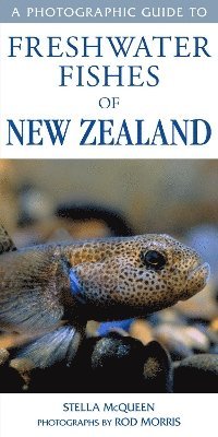 bokomslag Photographic Guide To Freshwater Fishes Of New Zealand