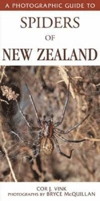 bokomslag Photographic Guide To Spiders Of New Zealand