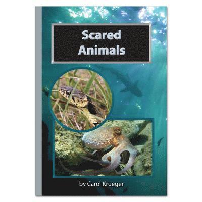 Scared Animals 1