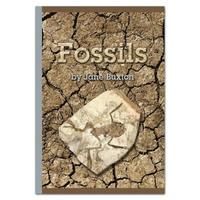 bokomslag Fossils