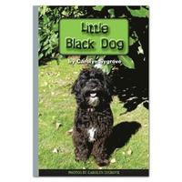 bokomslag Little Black Dog