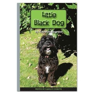 bokomslag Little Black Dog
