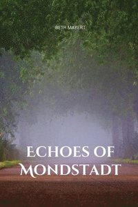 bokomslag Echoes of Mondstadt