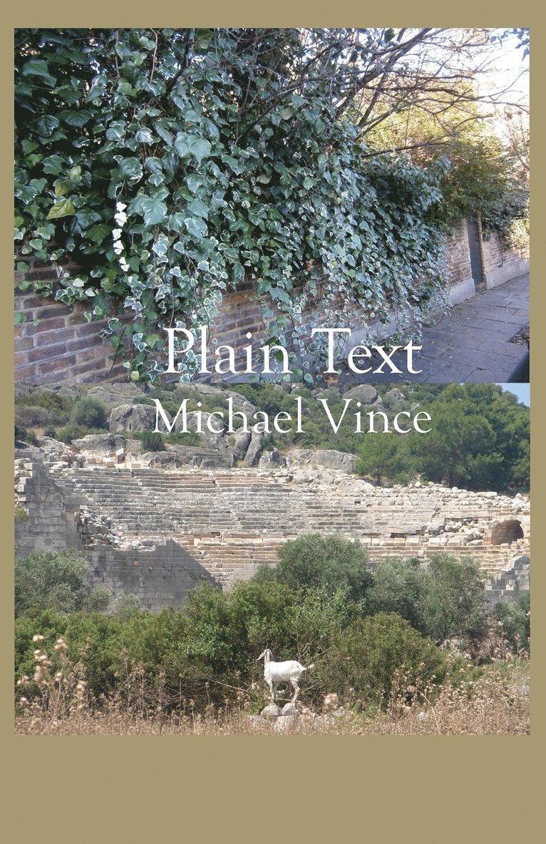 Vince Michael, Michael Vince - Plain Text, Häftad
