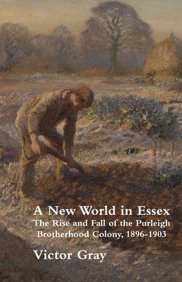 bokomslag A New World in Essex