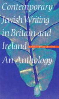 bokomslag Contemporary Jewish Writing In Britain And Ireland