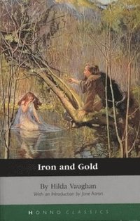 bokomslag Iron And Gold