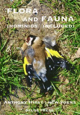 bokomslag Flora and Fauna (Hominids Included)