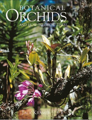 bokomslag Botanical Orchids and How to Grow Them