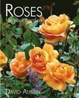 The Rose 1