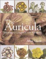 bokomslag Auricula: History, Cultivation and Varieties