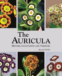 bokomslag Auricula: History, Cultivation and Varieties