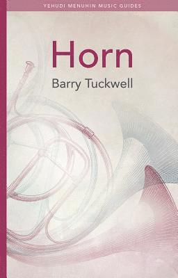 bokomslag Horn