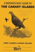 bokomslag Birdwatchers' Guide to the Canary Islands