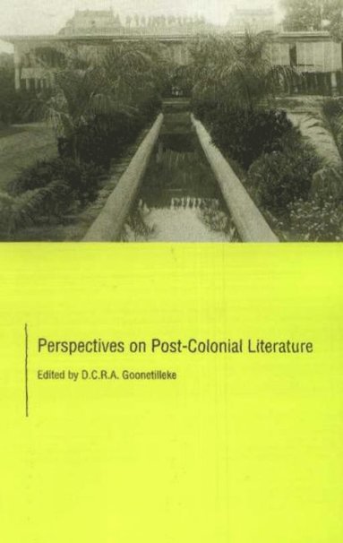 bokomslag Perspectives on Post-Colonial Literature