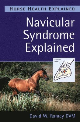 Navicular Syndrome Explained
