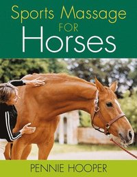bokomslag Sports Massage for Horses