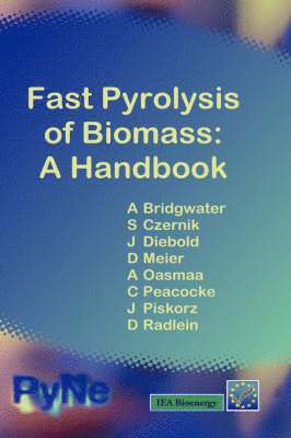 bokomslag Fast Pyrolysis of Biomass