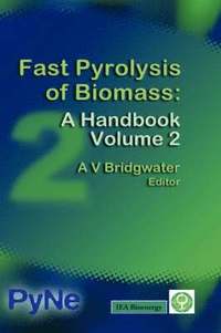 bokomslag Fast Pyrolysis of Biomass: v. 2