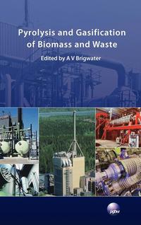 bokomslag Pyrolysis and Gasification of Biomass and Waste