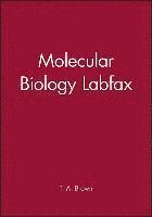 bokomslag Molecular Biology Labfax