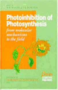 bokomslag Photoinhibition of Photosynthesis