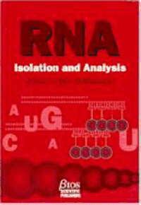 bokomslag RNA