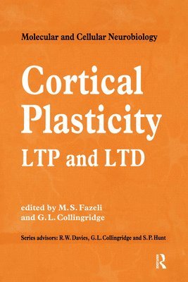 bokomslag Cortical Plasticity